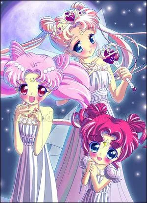 Chibiusa repars pour le futur :