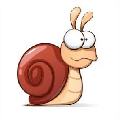 Quelle est la couleur habituelle de la coquille du petit-gris ?