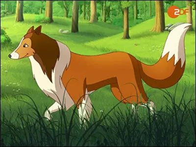 Combien y a-t-il d'épisodes ?