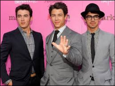 Le titre ''Sucker'' des Jonas Brothers peut se traduire par ''suceur'' (fan inconditionnel) mais il peut aussi signifier ''personnage crédule que l'on peut berner facilement''. Quel nom d'oiseau convient dans cette acception ?