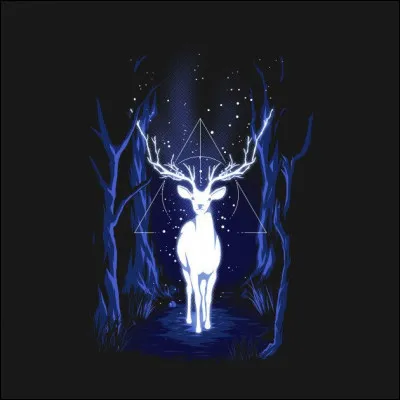 Quel était le Patronus de Hedley Fleetwood ?