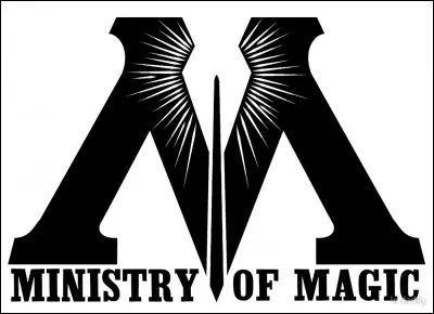 Qui est représenté sur le portrait qui est dans le bureau du Premier ministre moldu ?