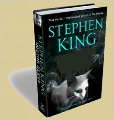 Quel est ce livre de Stephen King ?