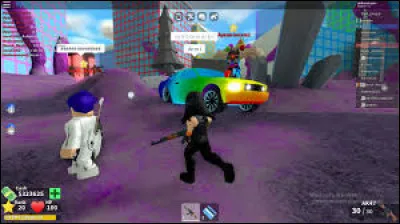 Quel est le nom de cette voiture ?