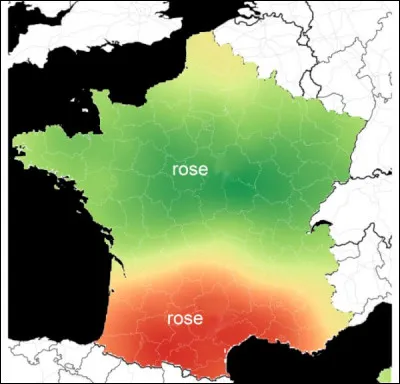 « ... C'est peut-être pour ça qu'on l'appelle "ville rose" ! » : justement, à propos, comment l'entendez-vous, ce « rose » ?
