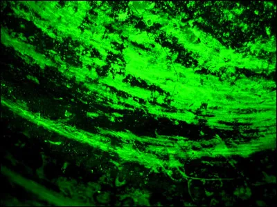 Tu es à la caisse avec ton amie mais tu n'as pas d'argent.