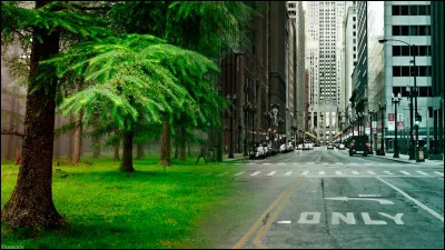 Dans quel environnement te sens-tu le mieux ?