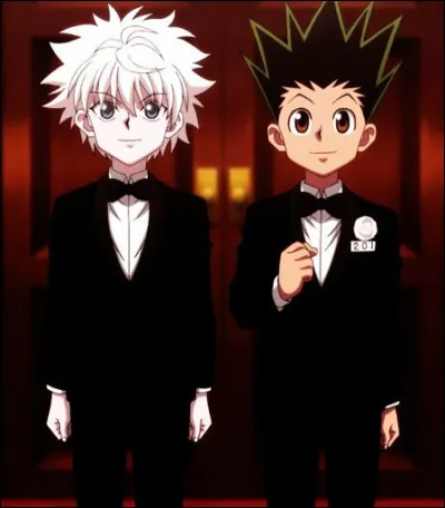 Qui apprend les bases du nen à Gon et Killua ?