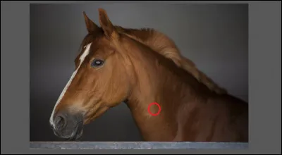 Comment se nomme cette partie ?