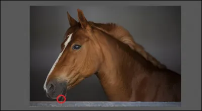 Comment se nomme cette partie ?