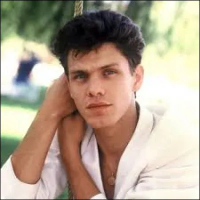 Qui chante "Qu'est-ce que t'es belle" avec Marc Lavoine ?