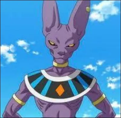 Beerus est un ..