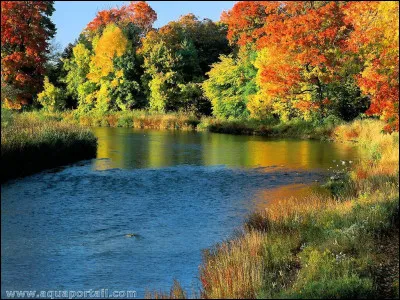 Complétez les paroles : 

C'est nous la compagnie des lapins bleus
Aux oreilles tendues et aux yeux malicieux
Notre fleuve préféré, c'est le Danube
Mais notre problème insoluble
...