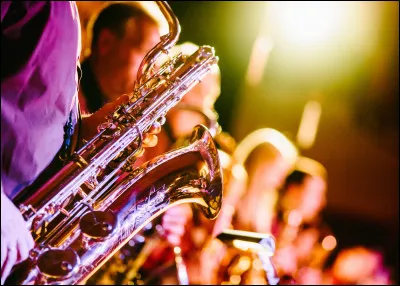 Complétez les paroles : 

Je suis une autruche, folle de jazz et de skat
Je chante en faisant des clic et des clac
...