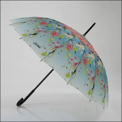 Complétez les paroles : 

On a bien dormi
Sous nos parapluies
On a bien rêvé
Sous nos ombrelles de papier
On est des baleines...