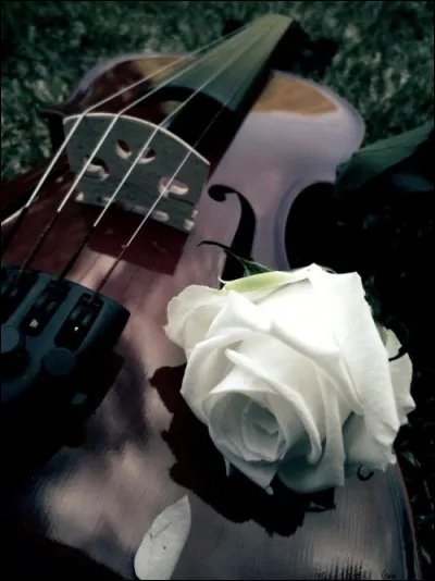 Qui était l'interprète des paroles "Chante, la vie chante, comme si tu devais mourir demain" ?