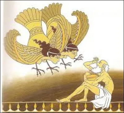 Qui est Phin&eacute;e ? (3 r&eacute;ponses)