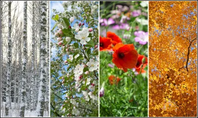 Quelle est ta saison préférée ?