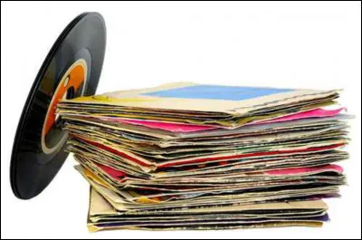 Quel nom donne-t-on au collectionneur de disques ?