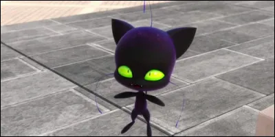 Quel est le péché mignon de Plagg, le kwami de Chat Noir ?