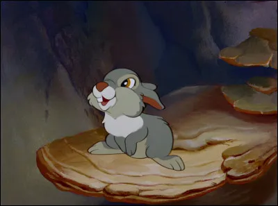 Dans quel dessin animé y a-t-il un personnage nommé Panpan ?