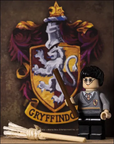 Et enfin, dans quelle maison ''Harry Potter'' êtes-vous ?