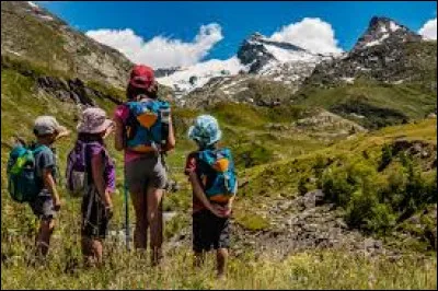 Un film de Peter Collinson de 1970 avec Tony Curtis, Charles Bronson et Michèle Mercier :