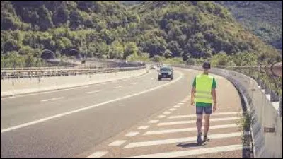 Un film de 1980 de Jean-Henry Meunier avec Jacques Higelin, Charlotte Kid et Tina Aumont ?