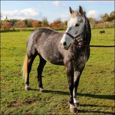 Si je te montre cette photo, tu me diras que je veux parler...