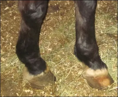 Si je te montre cette photo, tu me diras que je veux parler...