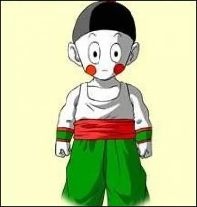 A-t-il réussi à aller aux phases finales lors du 23e tournoi des arts martiaux ?