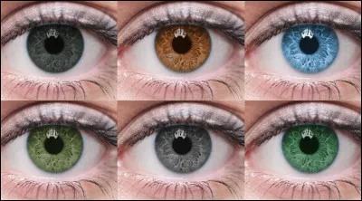 De quelle couleur sont tes yeux ?