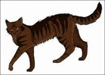 Dans le froid de la forêt, tu cours comme si ta vie en dépendait pour aider l'autre clan. Une fois arrivé, tu vois un chat errant avec le renard qui t'a attaqué tout à l'heure. Tu lui cries de faire attention et il s'avance vers toi pour t'emmener dans un ancien terrier de blaireau.