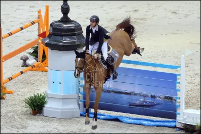 Comment se nomme cet obstacle ?