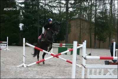 Comment se nomme cet obstacle ?