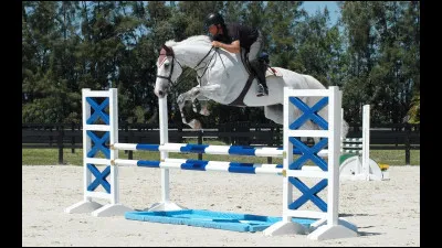 Comment se nomme cet obstacle ?