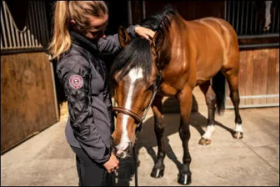 Retrouve les robes avec deux couleurs distinctes.