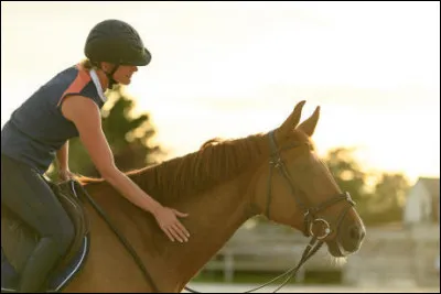 On retrouve plusieurs nuances chez l'alezan. Peux-tu me dire combien il en existe ?