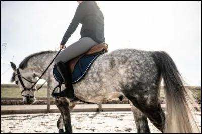 Quelles robes, parmi les suivantes, sont des robes avec des mélanges de poils ?