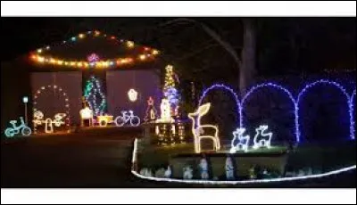 Petit tour en Bourgogne, à Beaune, pour voir ces illuminations. Ville connue entre autres pour ses hospices, elle se situe dans le département ...