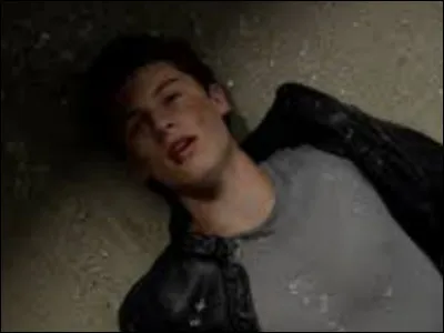 D'où vient cette image ?