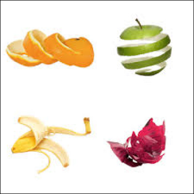 Combien de temps une pelure de fruit mettra-t-elle à disparaître ?