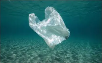 Pour le sac plastique que l'on retrouve très souvent dans les mers comme nombreux de ces autres déchets, il faudra :