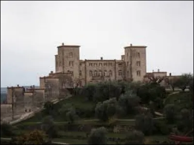 Vous avez sur cette image le ch&acirc;teau du Puy, &agrave; Tourrettes. Ville Varoise, elle se situe en r&eacute;gion ...