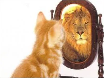 Quelle échelle permet d'évaluer l'estime de soi ?