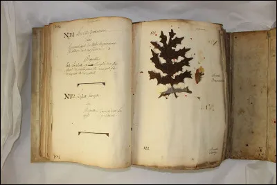 À qui doit-on, en 1943, le film " la Vie de bohème" ?