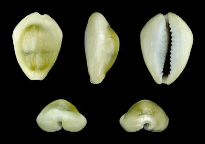 Diane d'Andoins, la favorite d'Henri IV était connue sous le nom de...