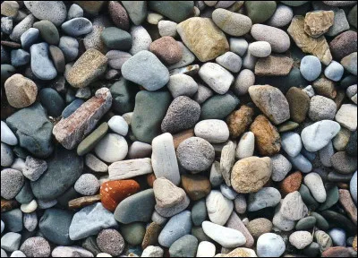 Dans la légende du roi Arthur, quel nom porte le cheval de Gauvain ?