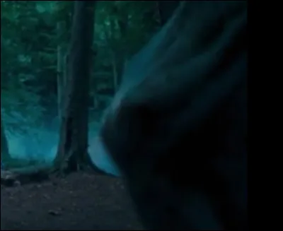 À quelle scène cette image appartient-elle ?