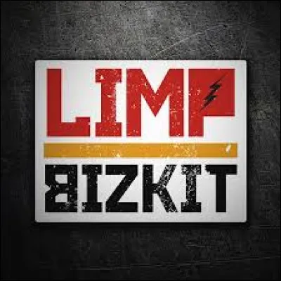 Quel est le chanteur de ce groupe ?